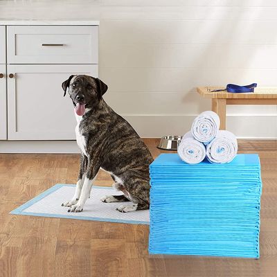 Cojín mojado limpio sano absorbente estupendo de Cat Training Urine Pee Pads Mat Disposable Dog Diaper Training de los pañales del perro casero