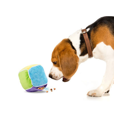 El animal doméstico inteligente colorido respetuoso del medio ambiente juega el perro del cubo de la comida de la salida de la felpa de algodón mastica los juguetes