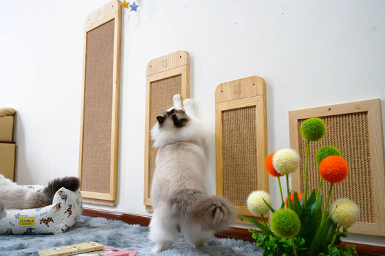Sisal durable Cat Scratcher Post Place Floor montada en la pared los 40*30cm los 30*76cm los 40*120cm