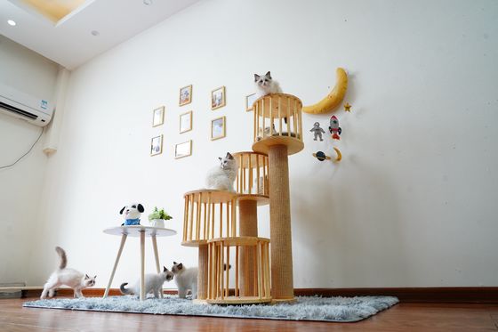 Casa durable Kitten Cat Climbing Tree Tower Condo con el rasguño de los postes