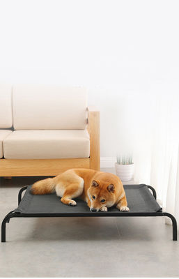 Tubo de acero de gran tamaño que dobla la cama elevada choza cómoda del perro de la cama del animal doméstico con los amortiguadores espesados de la felpa