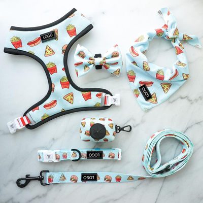Sistema suave de Mesh Nylon Pattern Dog Collar y del correo