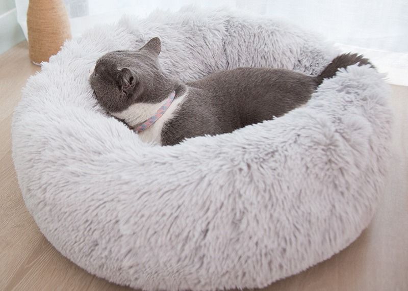 Los perros suaves de los gatos del buñuelo de la felpa caliente acuestan la cama que calma del perro de la piel de imitación