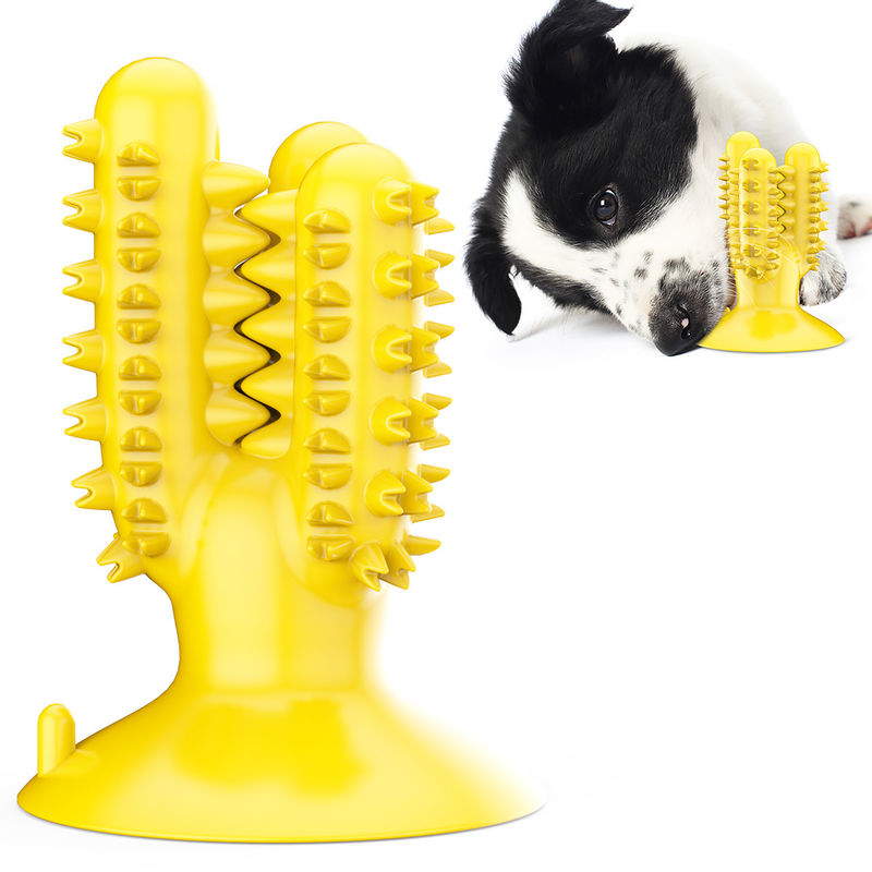 El perro del cactus del silicón TPR del cepillo de dientes del perro mastica los juguetes para los dientes