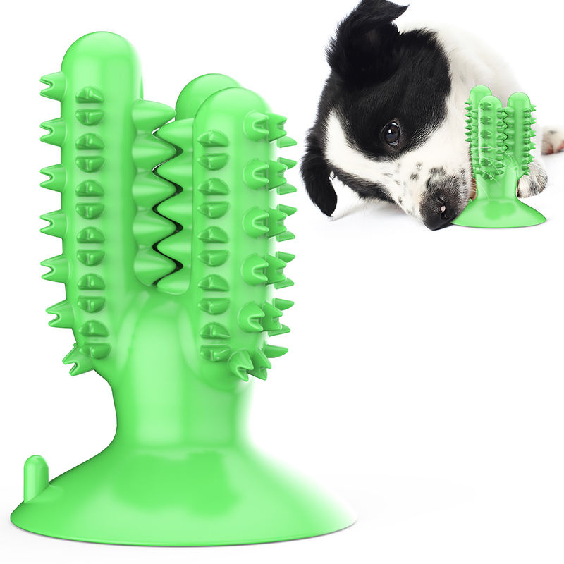 El perro del cactus del silicón TPR del cepillo de dientes del perro mastica los juguetes para los dientes
