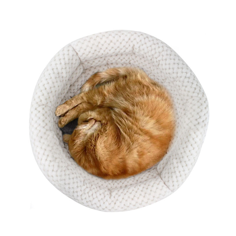 Los animales domésticos al por mayor de la cama del gato y del perro de la forma de la taza de la abrazo 2021 acuestan con las altas paredes para la casa lavable del animal doméstico del sueño profundo