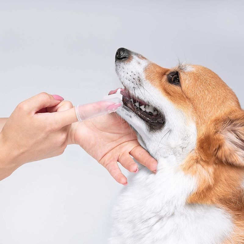 Dientes de limpieza de la herramienta del perro del silicón de la cerda que limpian el cepillo de dientes oral del animal doméstico del finger del cuidado del perro