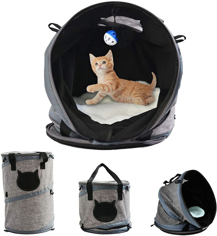 3 en 1 Cat Bag Carrier Backpack con la estera del paño grueso y suave