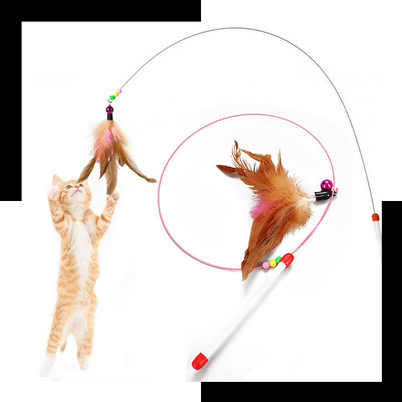 Vara del bromista de Hallupets Cat Pet Toys Cat Feather