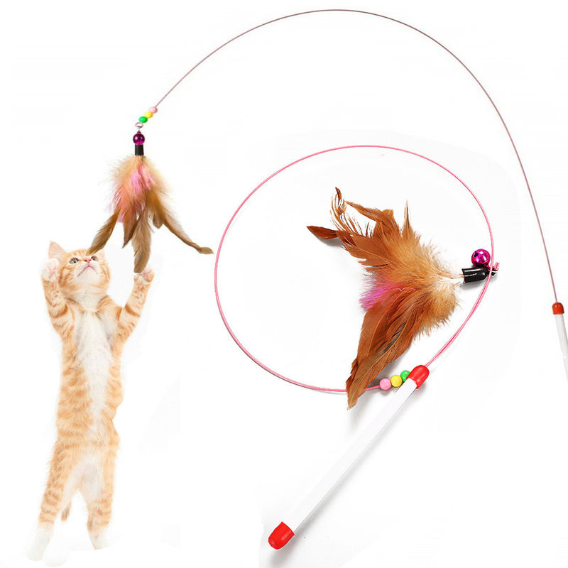 Vara del bromista de Hallupets Cat Pet Toys Cat Feather
