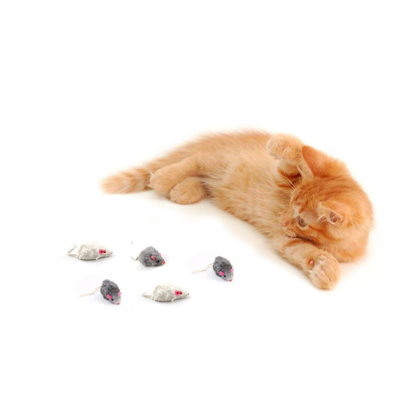 Regalo único Bicolourable Mini Mouse Cat Toy Set de Halloween con el sonido