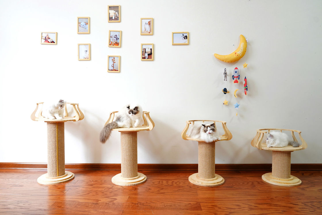 Tabla de rasguño de madera amistosa L tamaño los 72cm M los 62cm de la foto de Eco Cat Climbing Tree Tower Cat