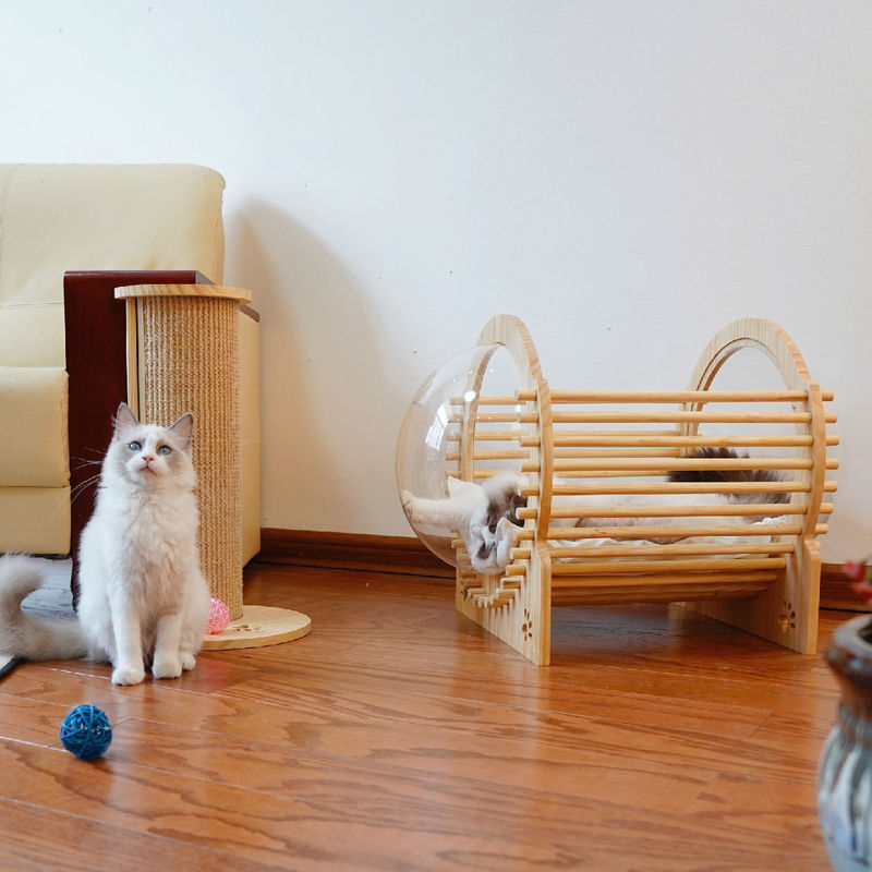 Madera Cat Bed House With Window de la cápsula