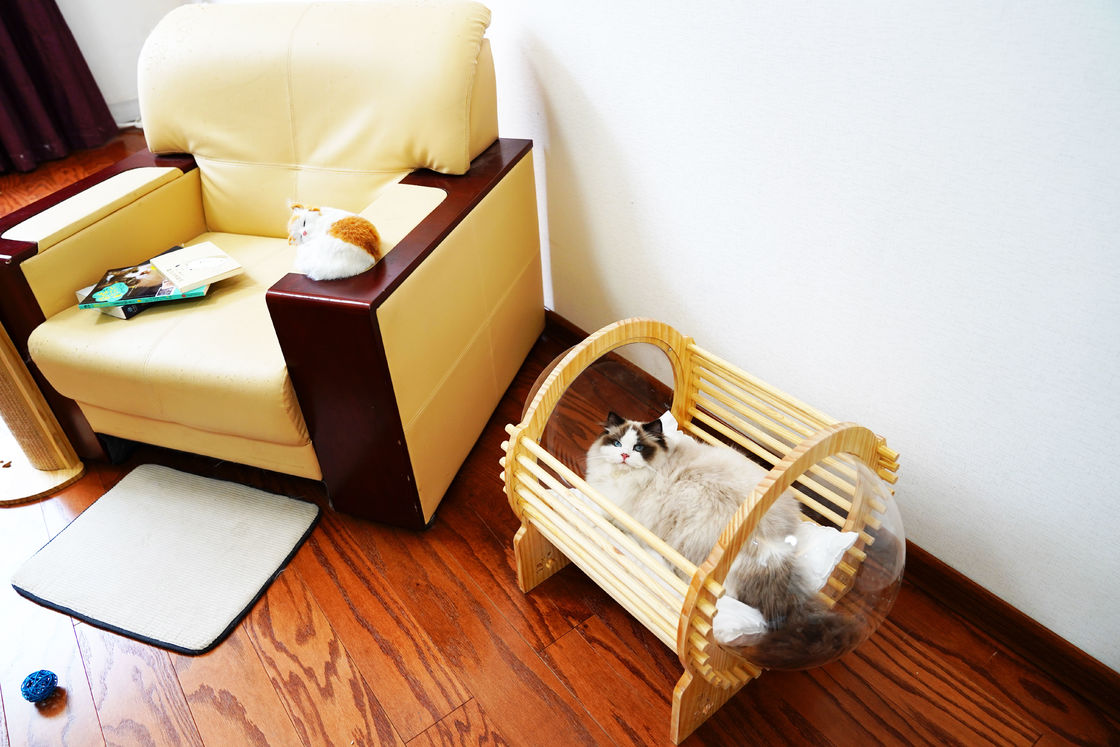 Madera Cat Bed House With Window de la cápsula