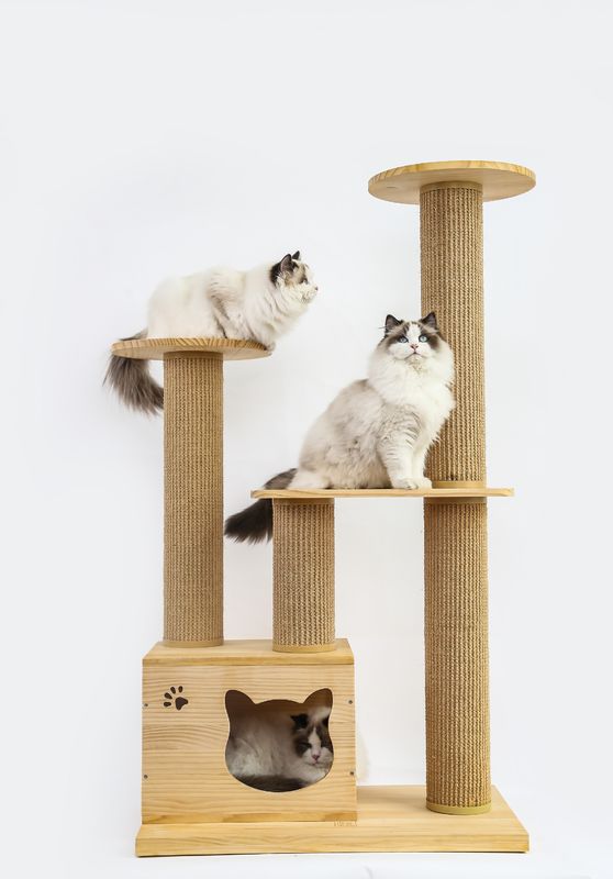 Cama de madera de lujo de la subida del animal doméstico de las escaleras del OEM y del ODM Cat Climbing Tree Furniture Safety