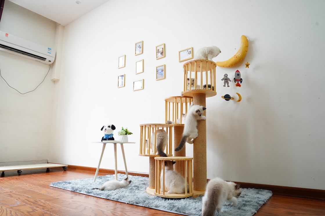 Casa durable Kitten Cat Climbing Tree Tower Condo con el rasguño de los postes