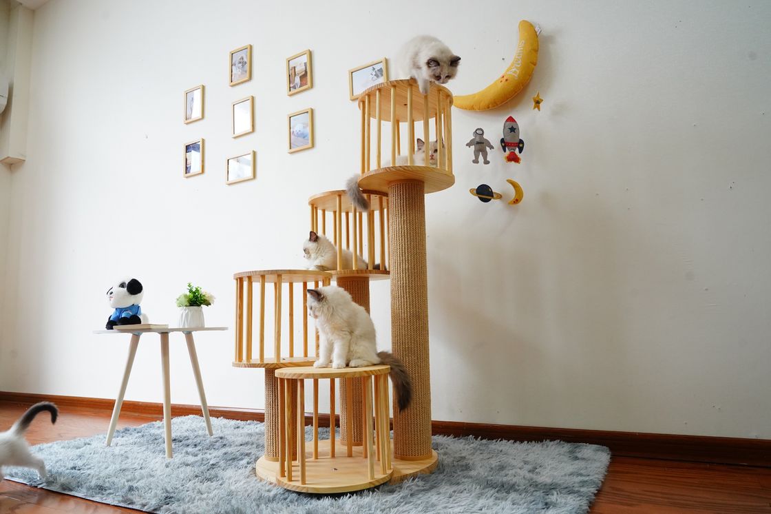 Casa durable Kitten Cat Climbing Tree Tower Condo con el rasguño de los postes
