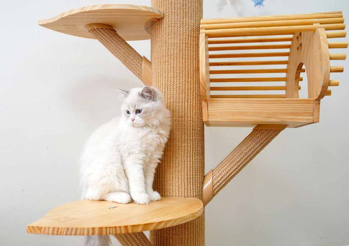 torre de madera sólida grande del 123cm Cat Climbing Tree Cat Activity con el rasguño de los postes