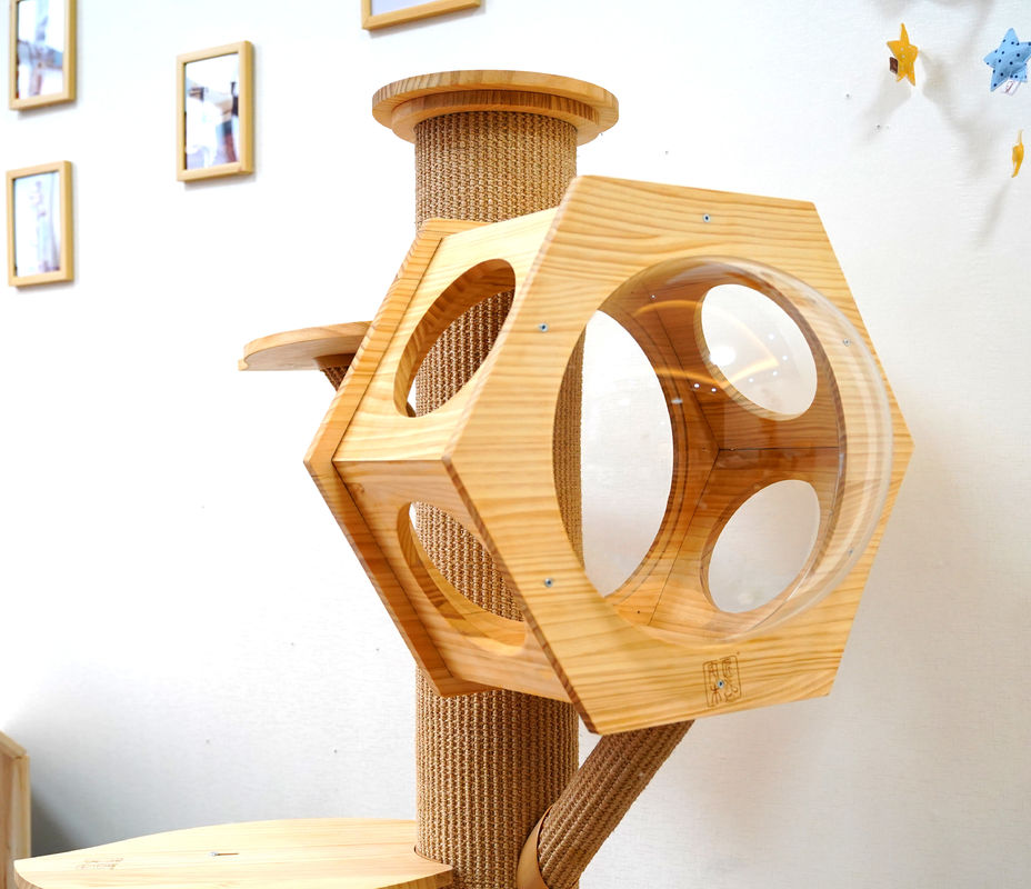 Cápsula de madera de Cat Climbing Tower With Space de la cueva de la cama del animal doméstico del hexágono de lujo