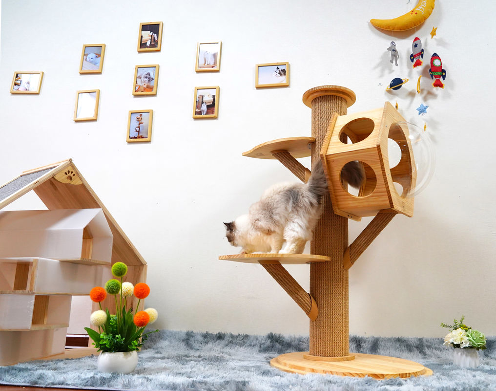 Cápsula de madera de Cat Climbing Tower With Space de la cueva de la cama del animal doméstico del hexágono de lujo