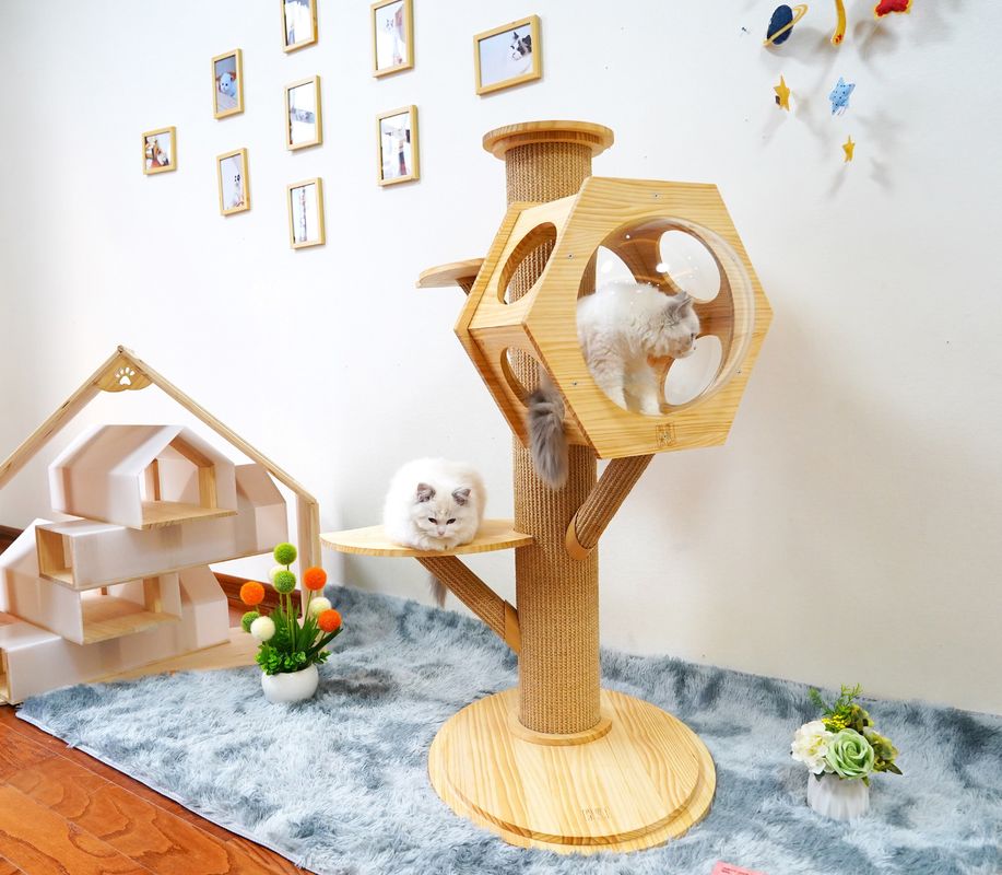 Cápsula de madera de Cat Climbing Tower With Space de la cueva de la cama del animal doméstico del hexágono de lujo