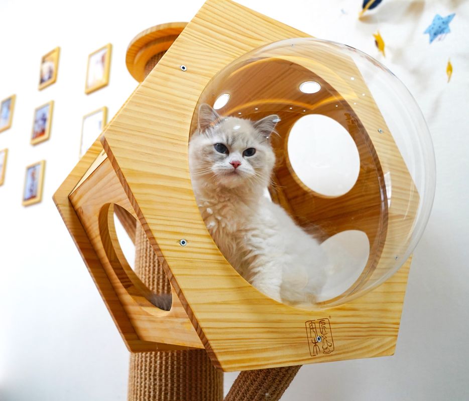 Cápsula de madera de Cat Climbing Tower With Space de la cueva de la cama del animal doméstico del hexágono de lujo