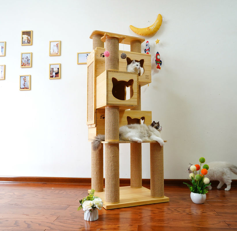 Seguridad Cat Climbing Tree Tower de lujo