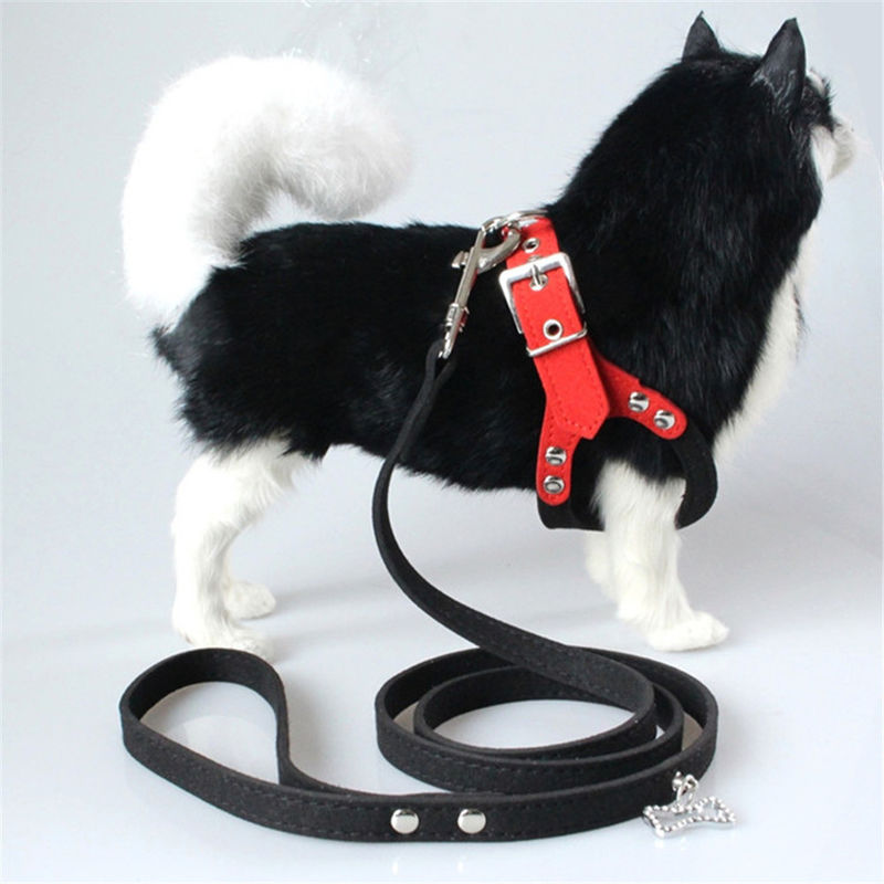 Hallupets Mesh Padded Collar Leash Harness suave fijó el pecho del perro y la tracción trasera