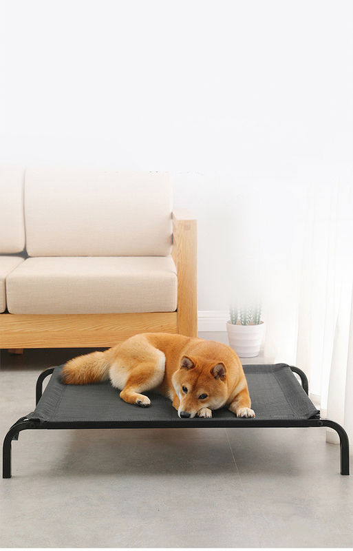 Tubo de acero de gran tamaño que dobla la cama elevada choza cómoda del perro de la cama del animal doméstico con los amortiguadores espesados de la felpa