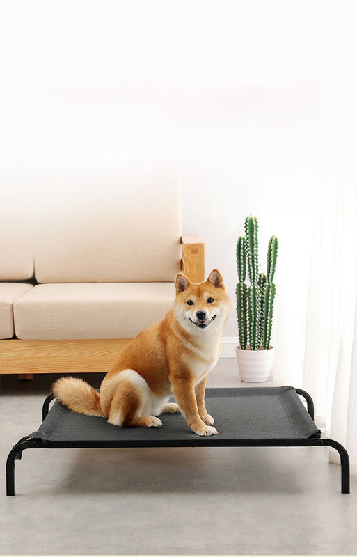Tubo de acero de gran tamaño que dobla la cama elevada choza cómoda del perro de la cama del animal doméstico con los amortiguadores espesados de la felpa