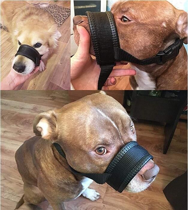 El arnés de nylon del correo del cuello del bozal del perro fijó la mordedura anti rellenada suave de la cubierta de la boca del perro