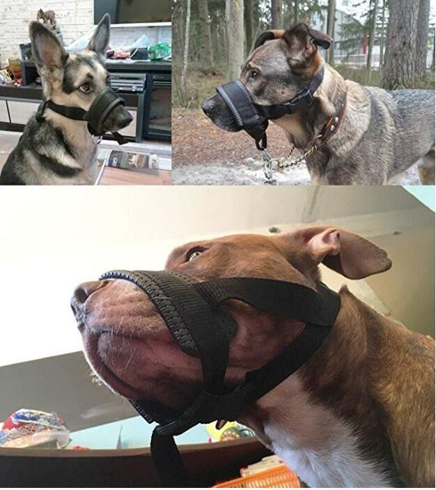 El arnés de nylon del correo del cuello del bozal del perro fijó la mordedura anti rellenada suave de la cubierta de la boca del perro