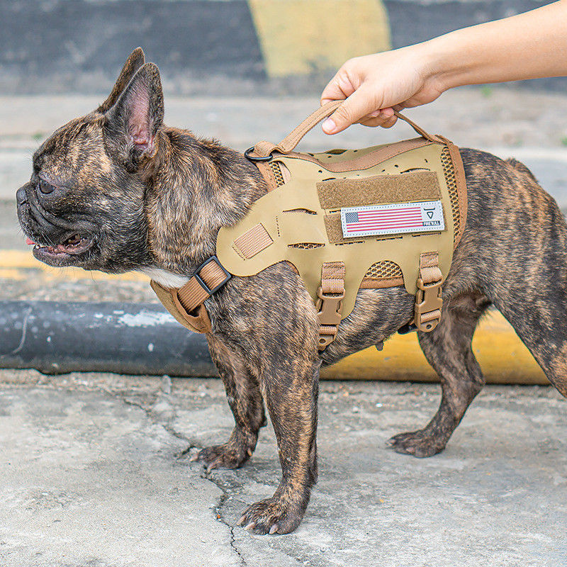 Correa táctica al aire libre del pecho del entrenamiento del animal doméstico con la correa de perro material del estilo del chaleco de la correa de perro del arnés del perro de Hypalon