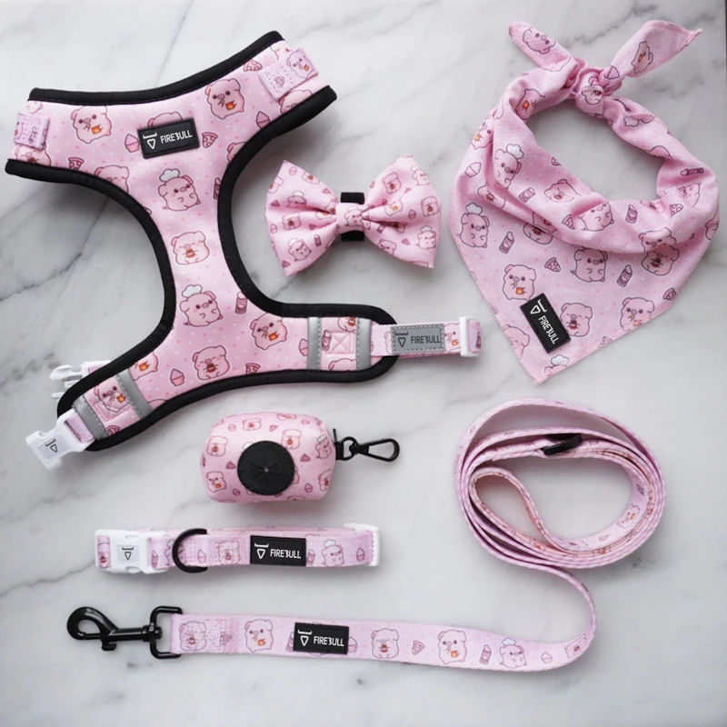 Sistema suave de Mesh Nylon Pattern Dog Collar y del correo