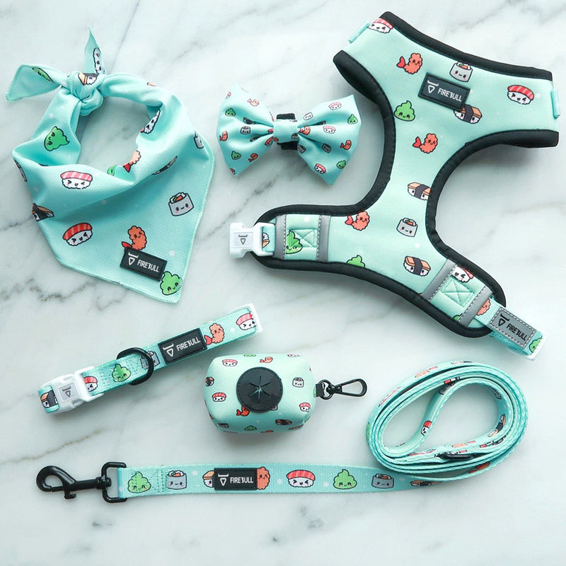 Sistema suave de Mesh Nylon Pattern Dog Collar y del correo