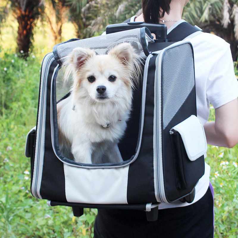 Carretilla telescópica de la mochila del portador del viaje del animal doméstico de la manija para los pequeños perros y gatos