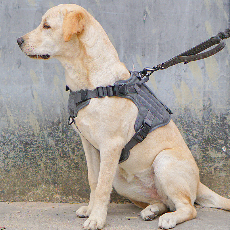 Arnés militar táctico del perro del chaleco con la seguridad táctica del ODM Molle de la hebilla para el servicio y el chaleco militar de entrenamiento del perro