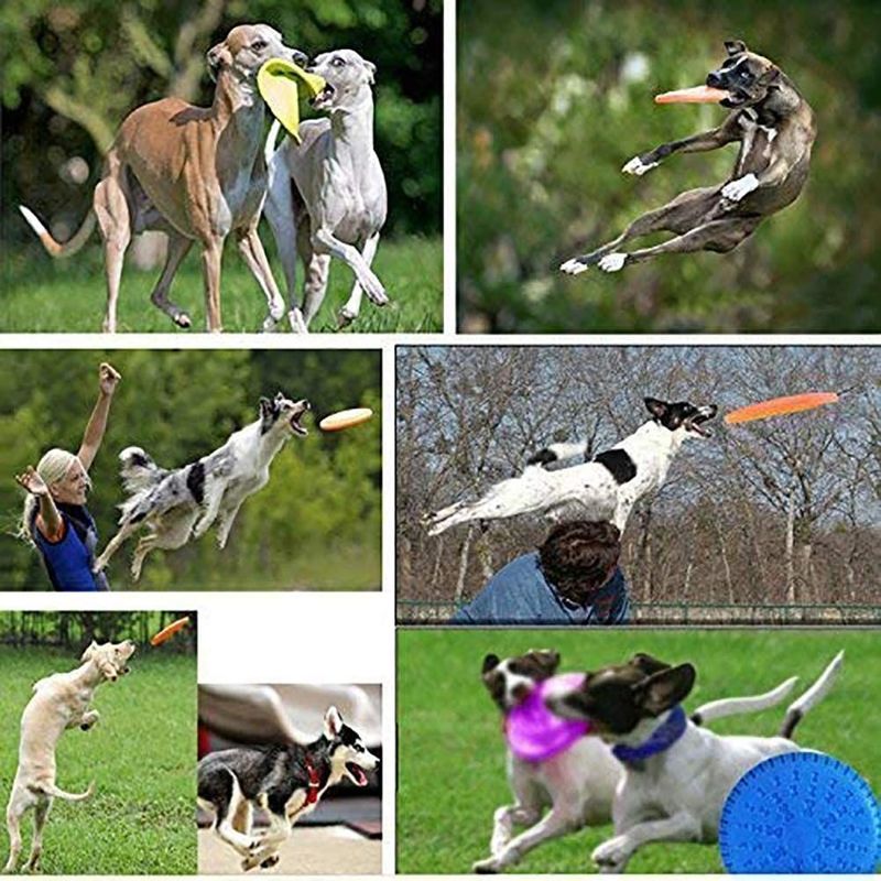 Juguete al aire libre del entrenamiento de la búsqueda del perro del disco del vuelo del perro del gel de silicona