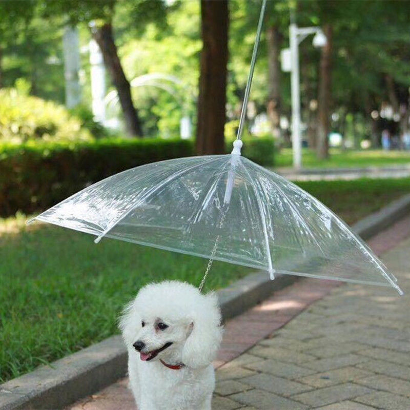 Pequeños paraguas transparentes claros al aire libre del perro casero para los perros impermeables