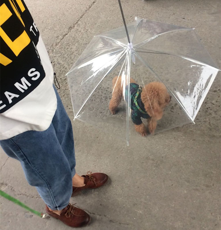 Pequeños paraguas transparentes claros al aire libre del perro casero para los perros impermeables