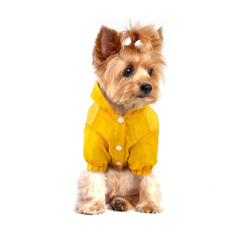 Chaquetas luminosas únicas de la lluvia del impermeable reflexivo al aire libre del animal doméstico con el bolso del almacenamiento para los perros