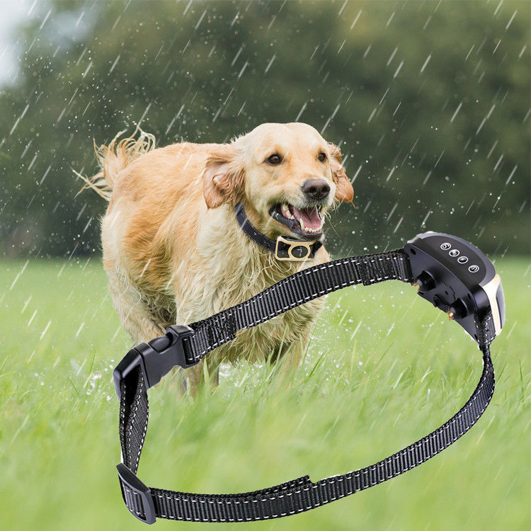 Productos innovadores del entrenamiento del animal doméstico del control ningunos cuellos del choque del entrenamiento del perro de la corteza