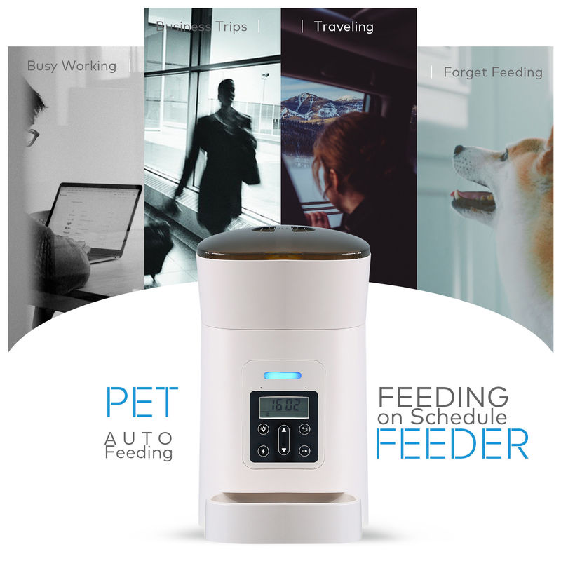 Acaricia el alimentador del perro y el dispensador automáticos del agua con el cuenco de la comida diseñado