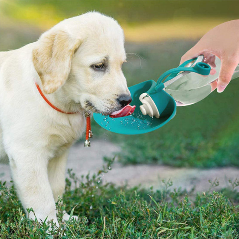 Diseño portátil al aire libre 580ML de la prueba del escape de la botella de agua del animal doméstico del silicón