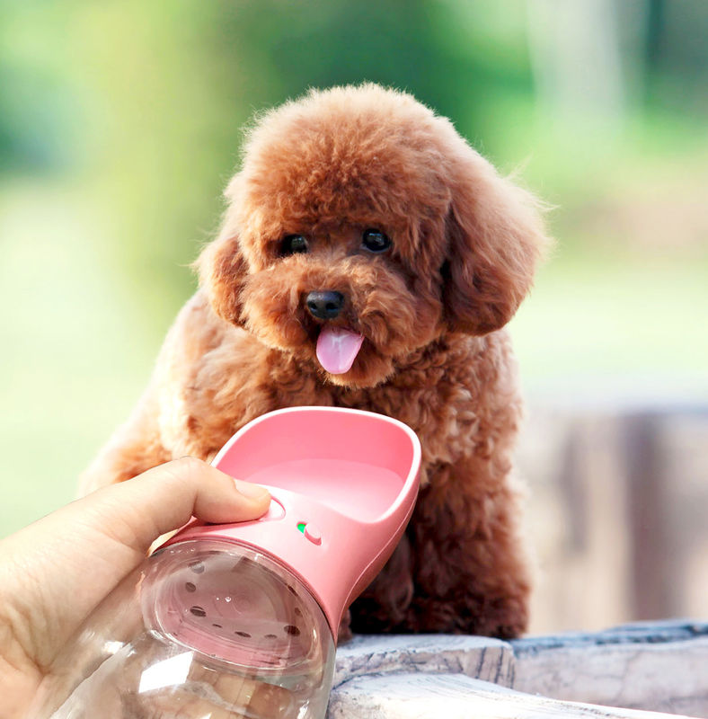 Botella de agua plegable portátil del perro de la taza de la bebida 12-20OZ para caminar