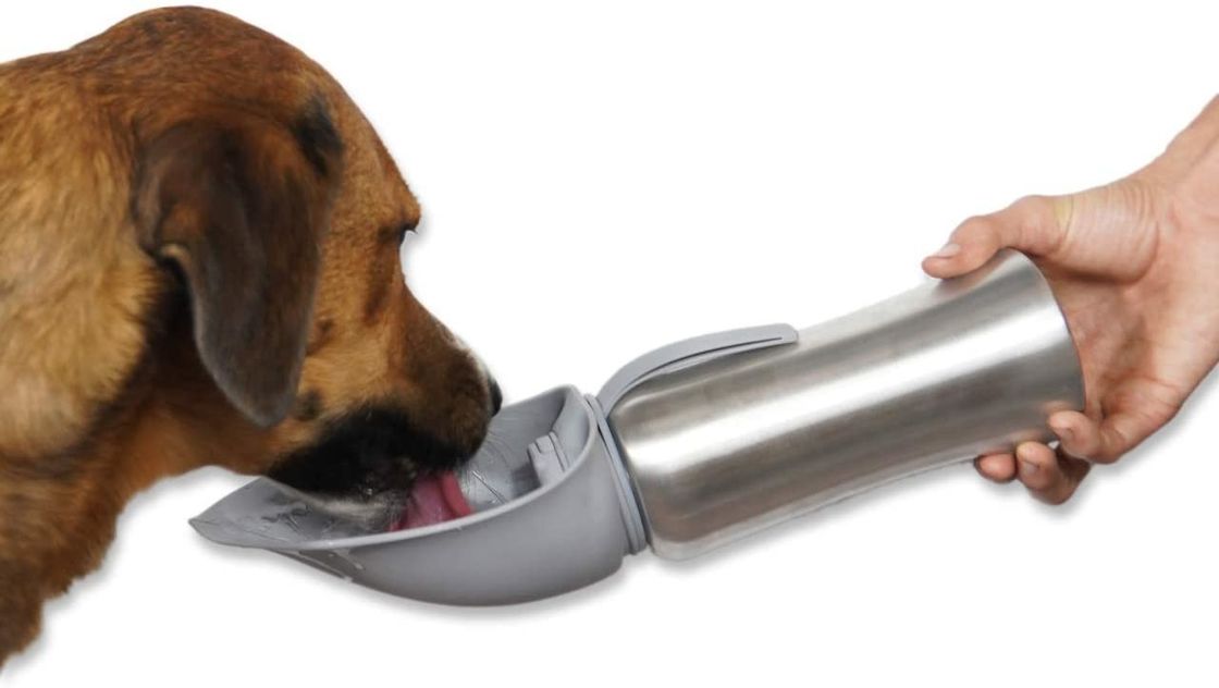 Los animales domésticos inoxidables del viaje persiguen la botella de agua caliente con el silicón Flip Up Bowl 42oz/1200mL