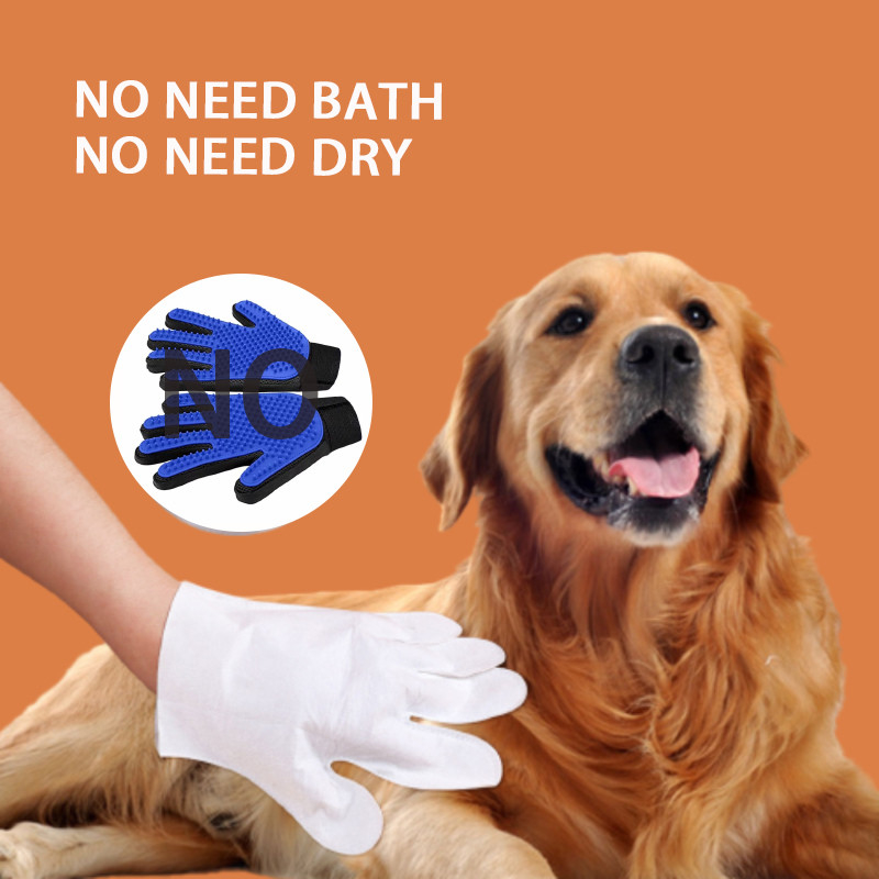Perro disponible de tacto seco de limpieza al aire libre Cat No Washing de los guantes del animal doméstico de la suciedad de las bacterias